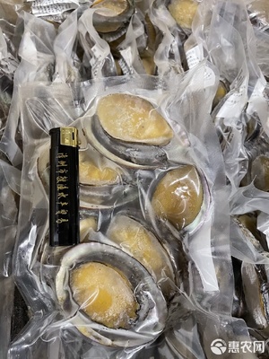 鮮凍鮑魚 社區(qū)團(tuán)購(gòu)與電商平臺(tái)的新爆款